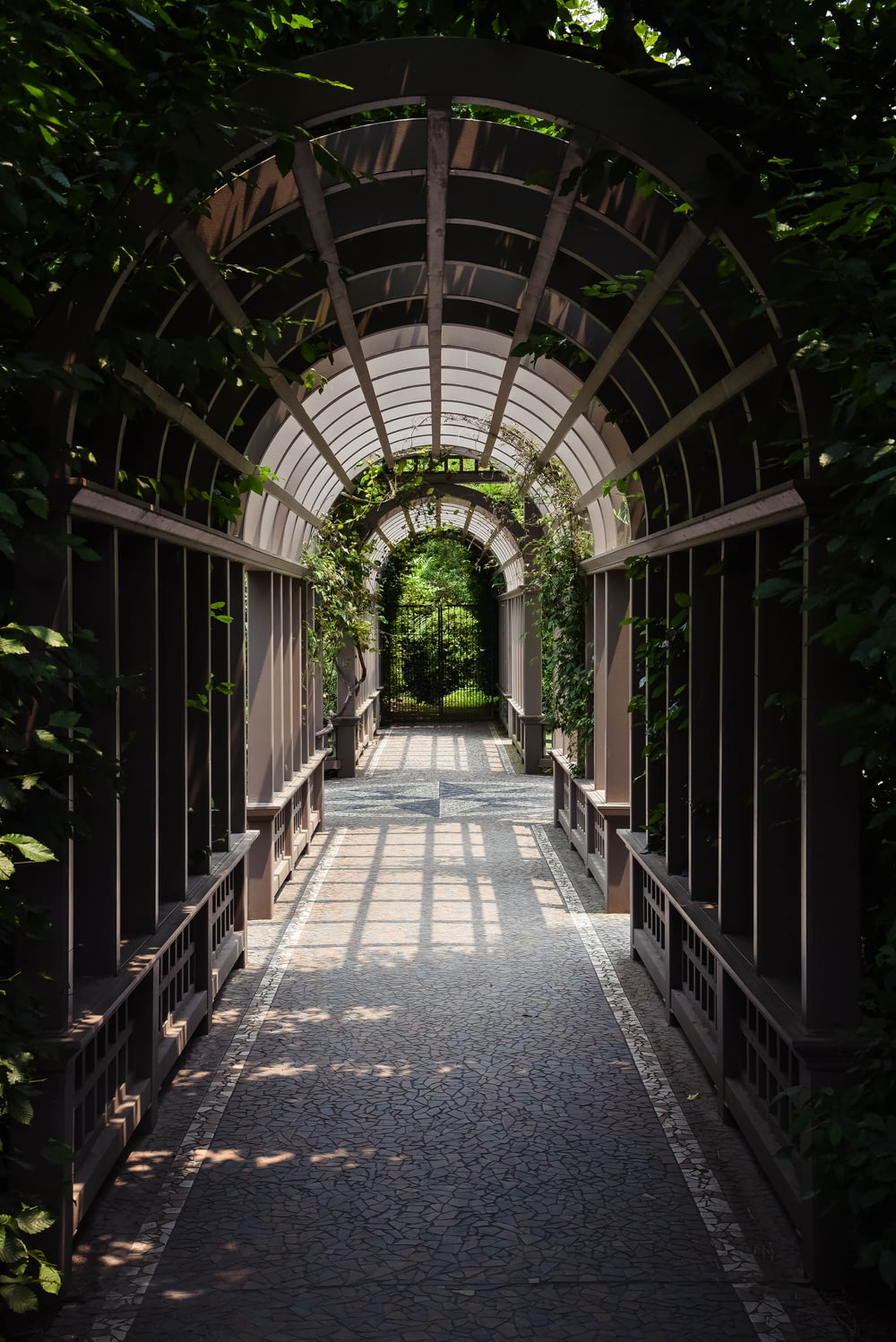 light through arch hallway under plants