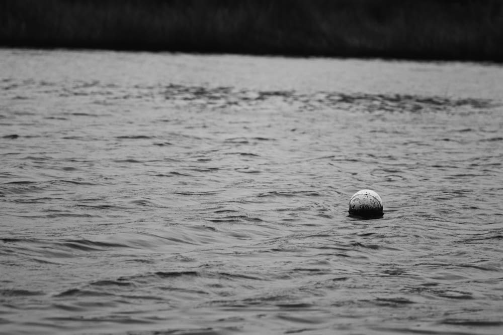 a ball floating in the middle of a body of water