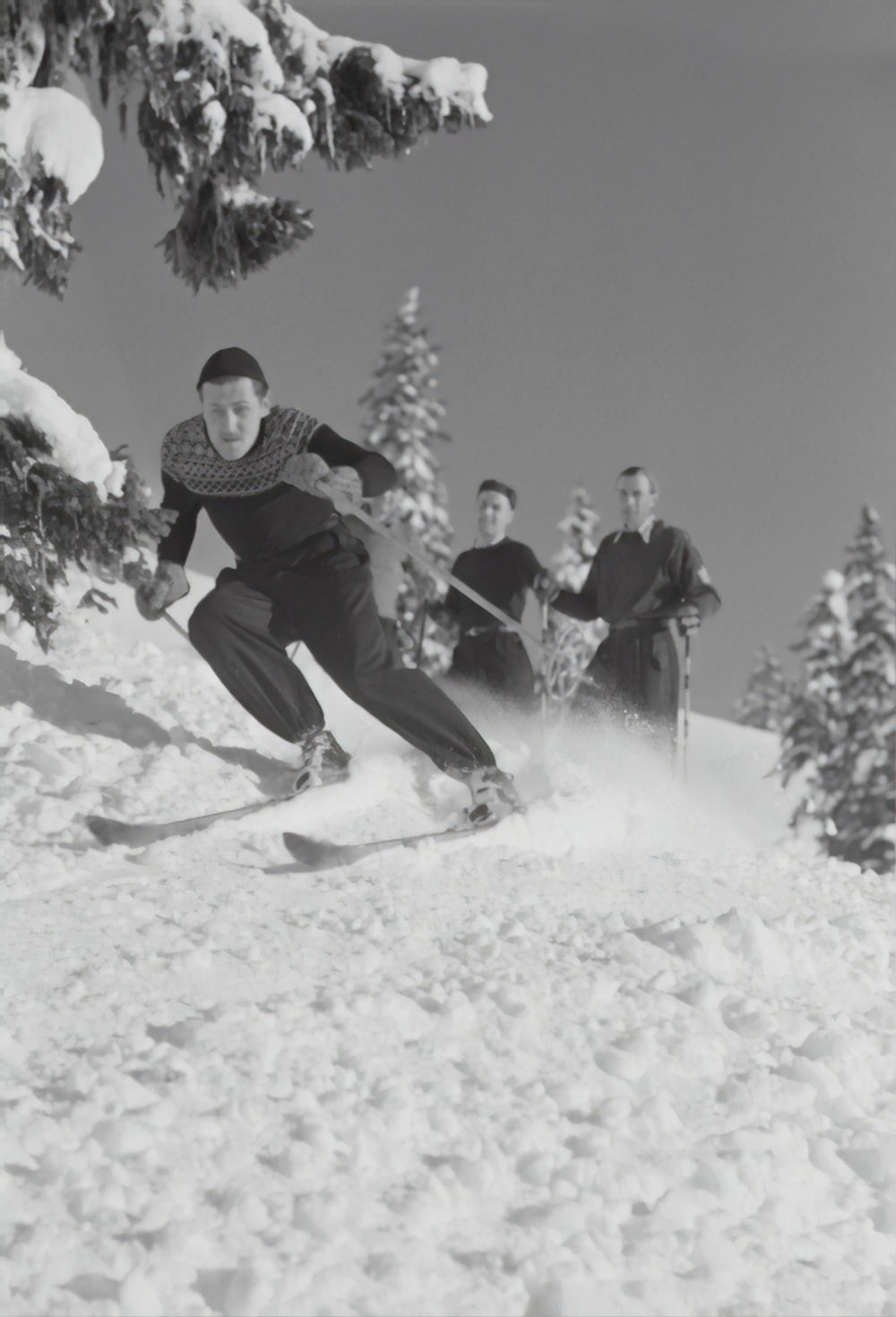Graustufenfotografie von Menschen, die nordischen Skifahren betreiben