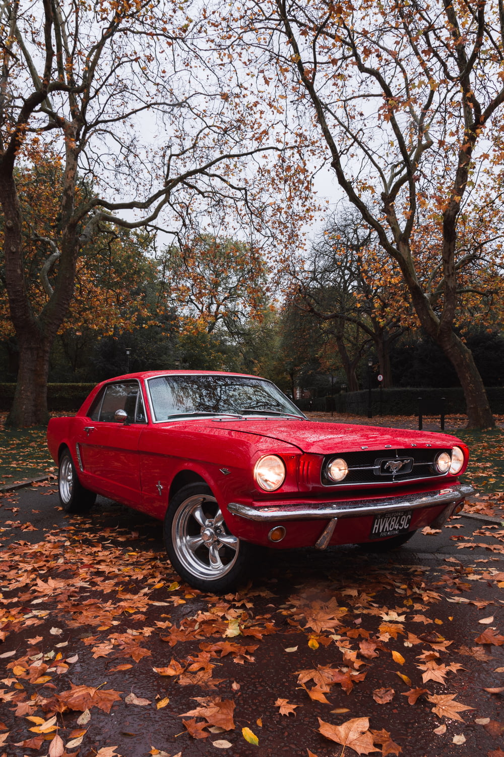 fotografía de enfoque selectivo de un Ford Mustang coupé rojo estacionado