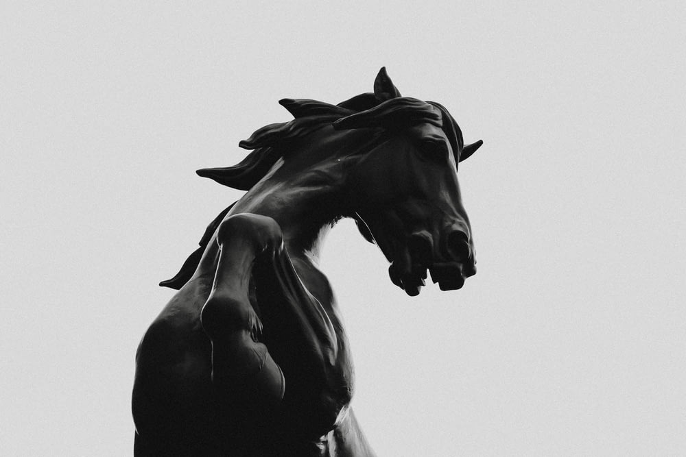 Statue de cheval noir en photographie en niveaux de gris
