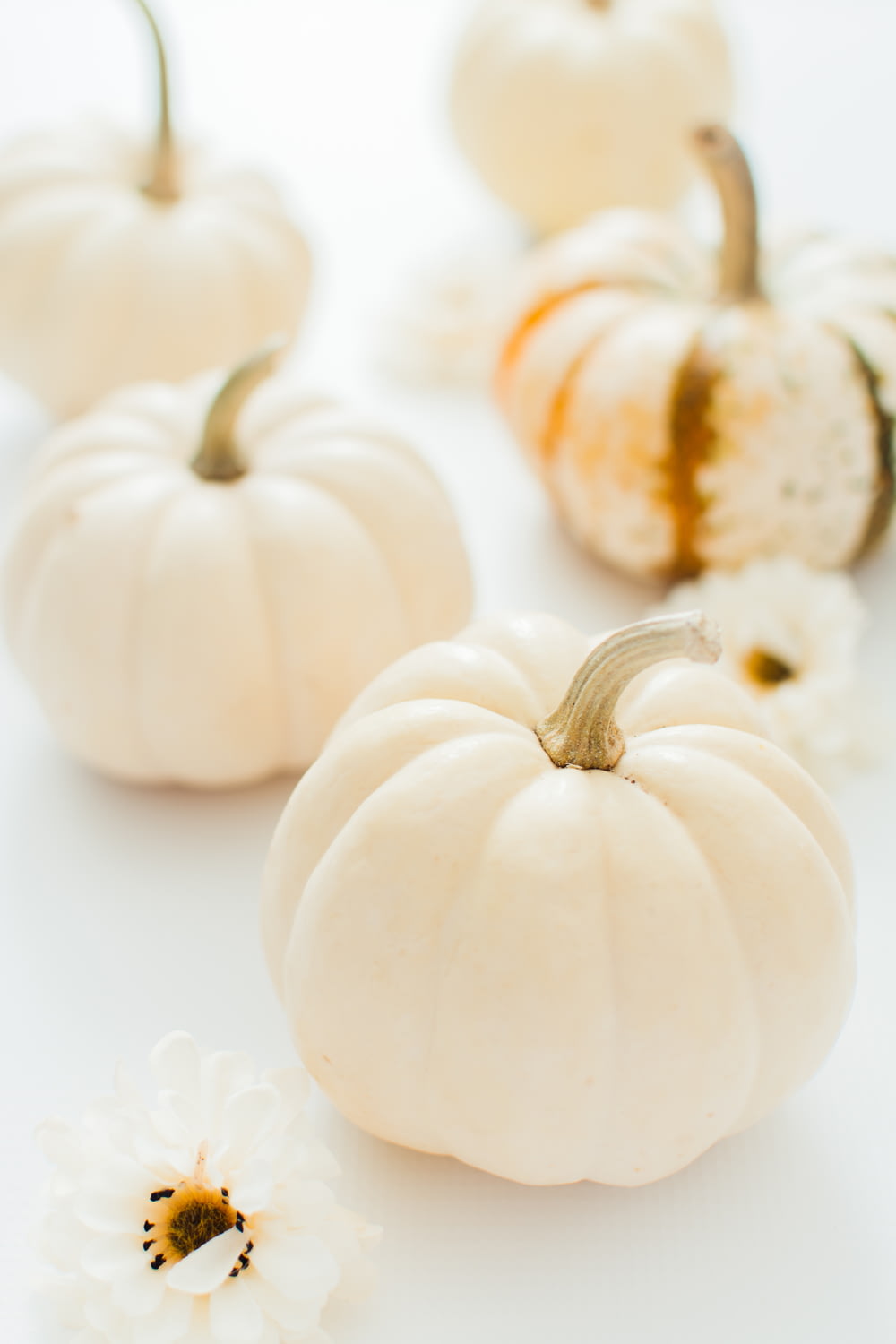white and brown pumpkins on white table