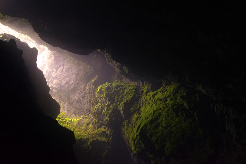 grotte brune et noire avec de la mousse verte