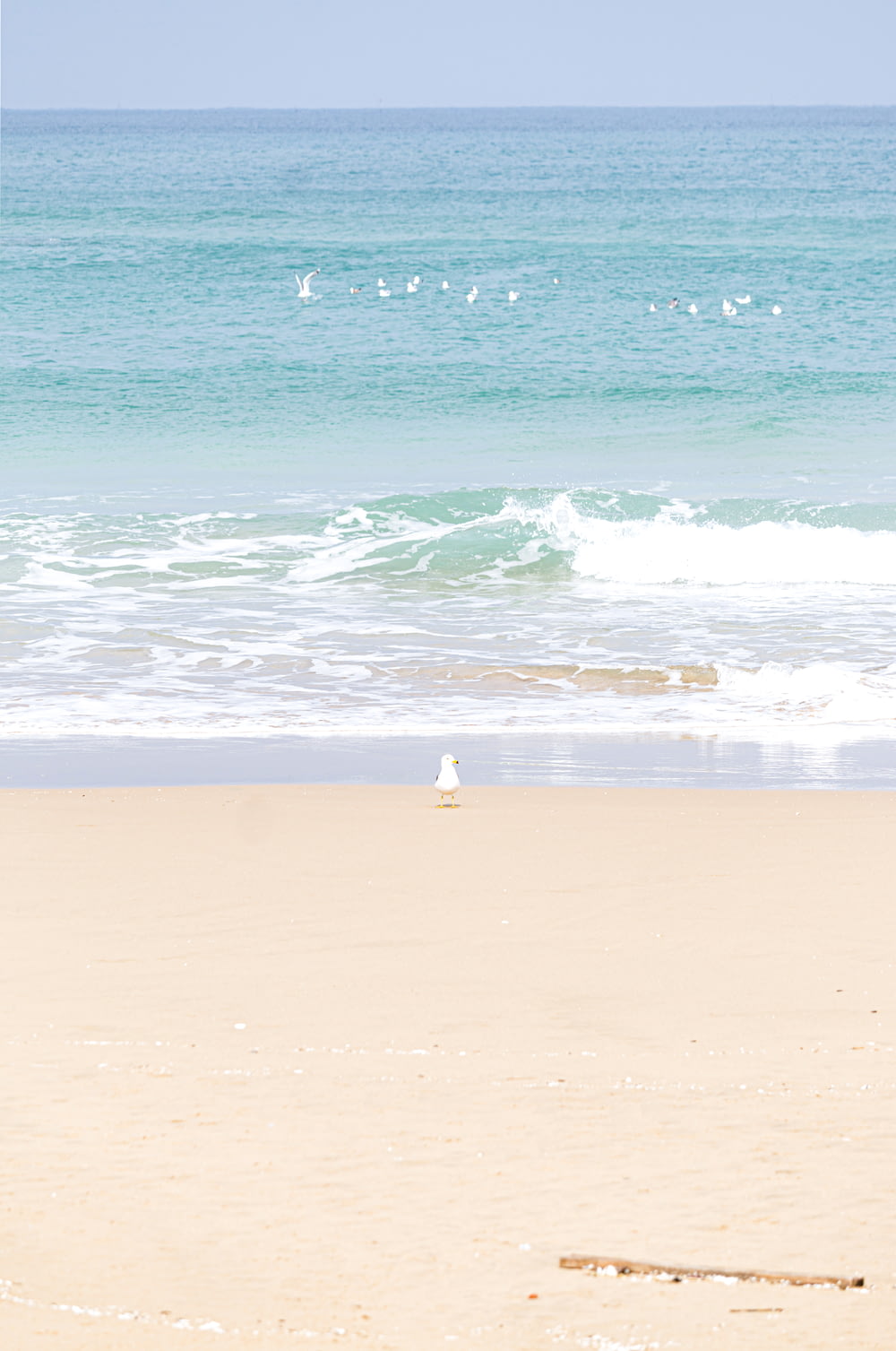Person im weißen Hemd, die tagsüber am Strand steht