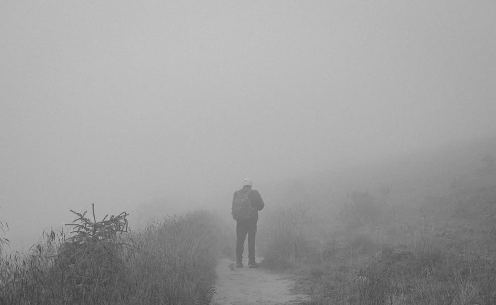 man standing on grass field during foggy weather