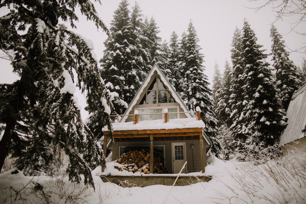 brown wooden house covered with snow surrounded by trees