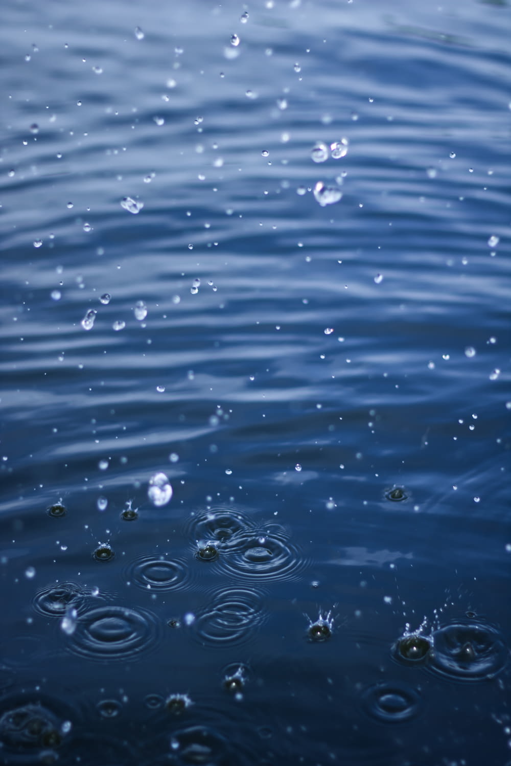 water drops on body of water