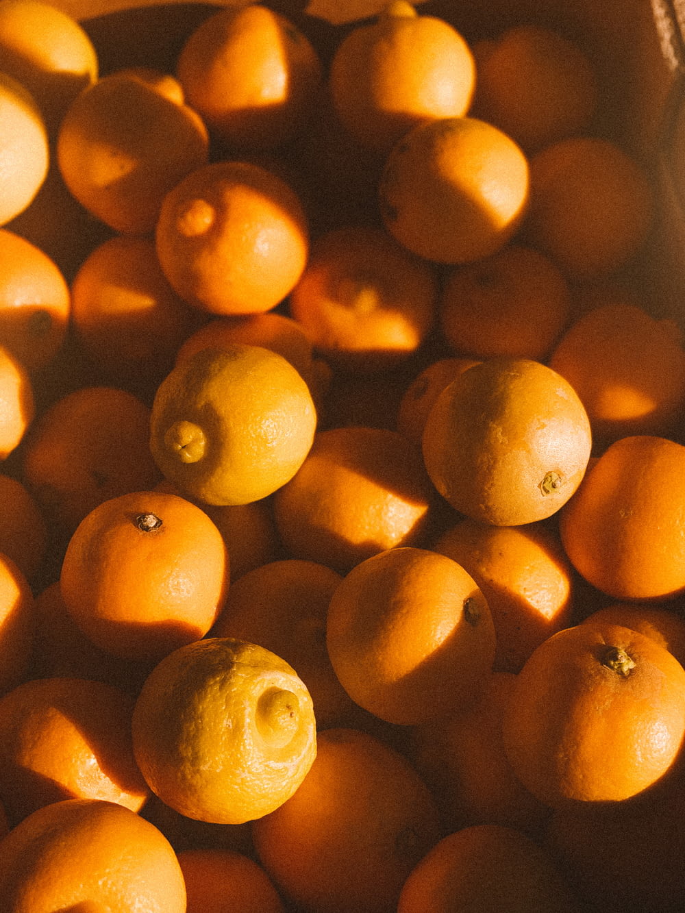 yellow citrus fruits in close up photography