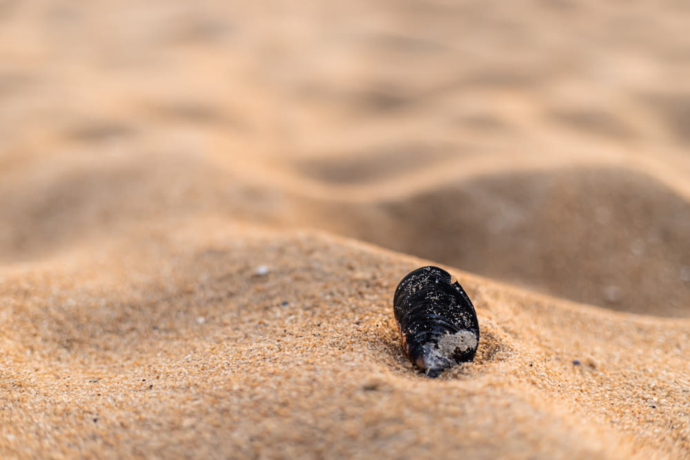Schwarzer Stein auf braunem Sand