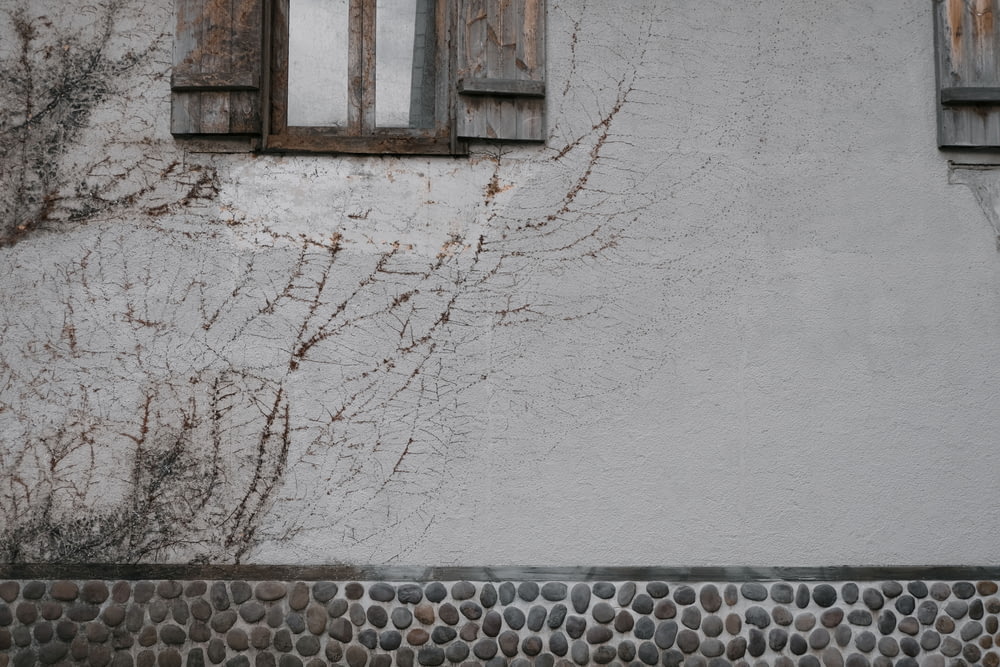 흰색 콘크리트 벽에 갈색 나무 창틀