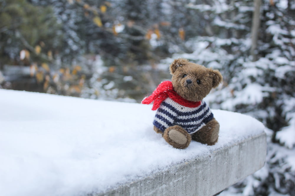 juguete de peluche de oso pardo en suelo cubierto de nieve durante el día