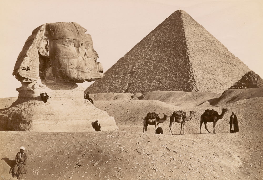 grayscale photo of pyramid and camels in the desert 