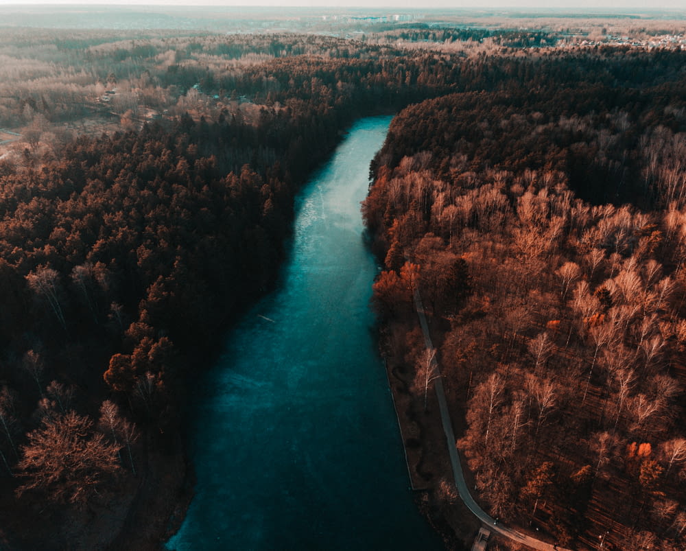 aerial view of river between trees during daytime