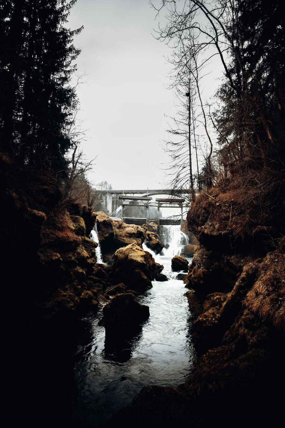 bridge over river between bare trees