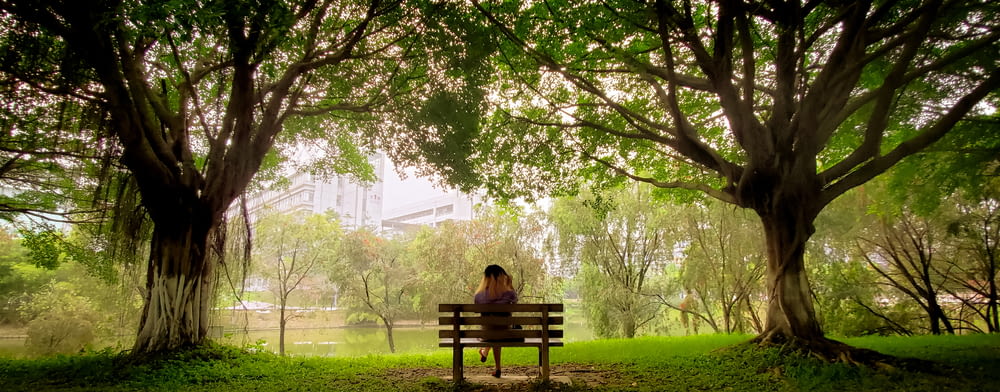 woman sitting on brown wooden bench under green trees during daytime