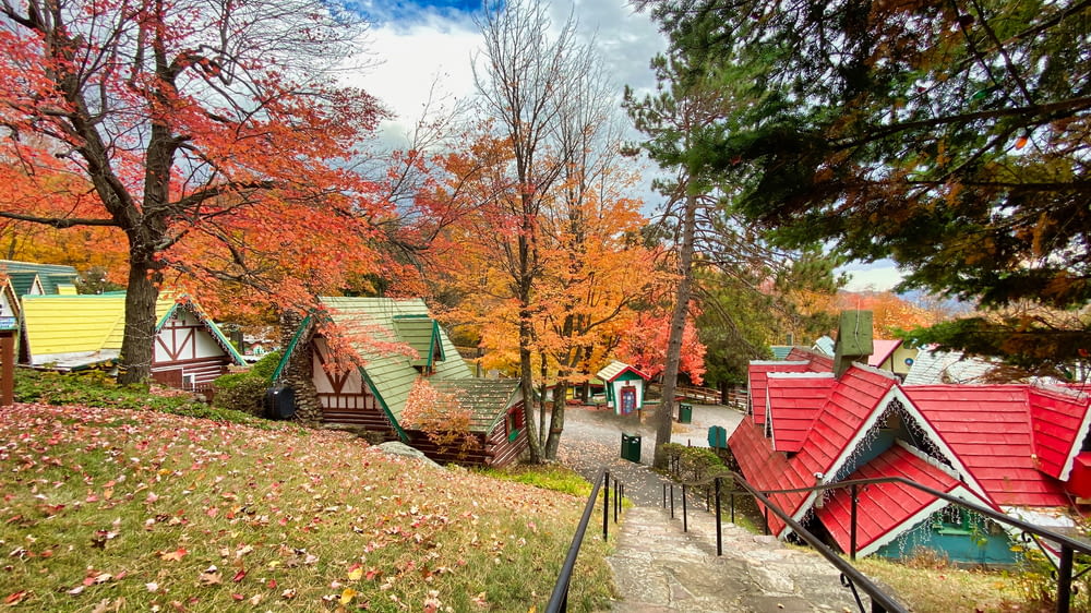 Casa de madera roja y marrón cerca de los árboles durante el día