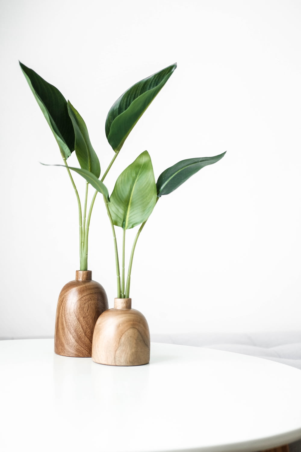 pianta verde su vaso di legno marrone