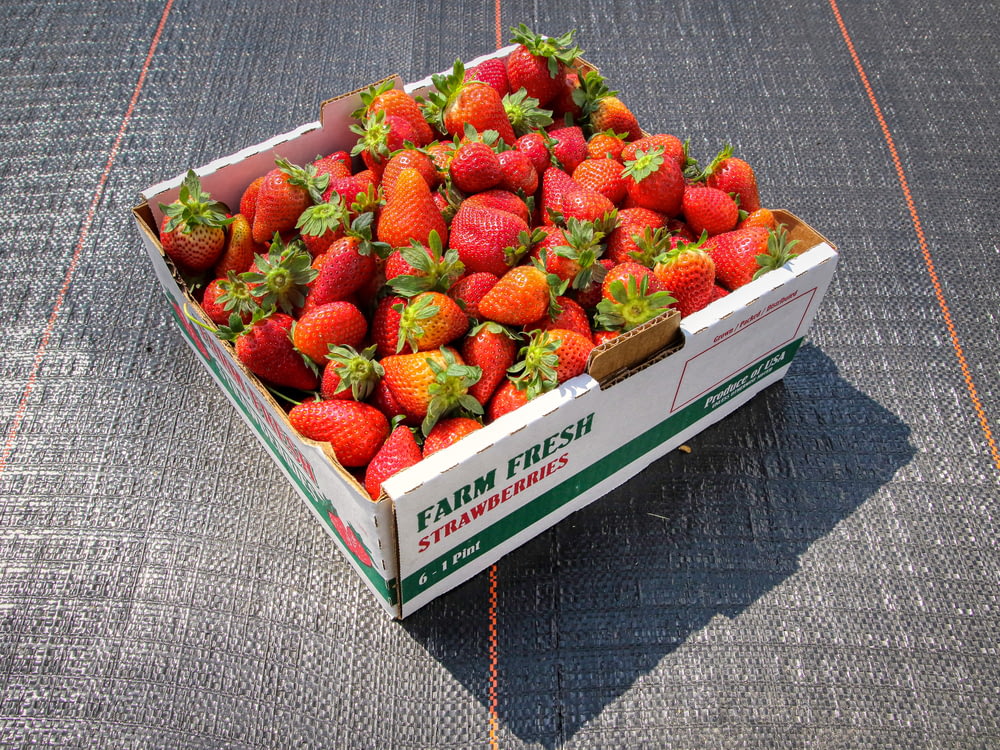 strawberries in white and green box