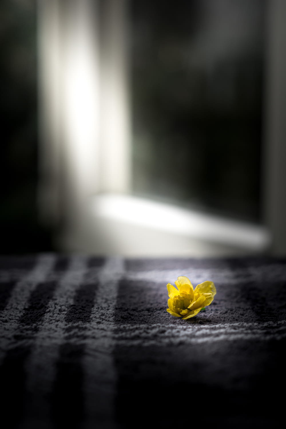 yellow flower on black and white checkered textile