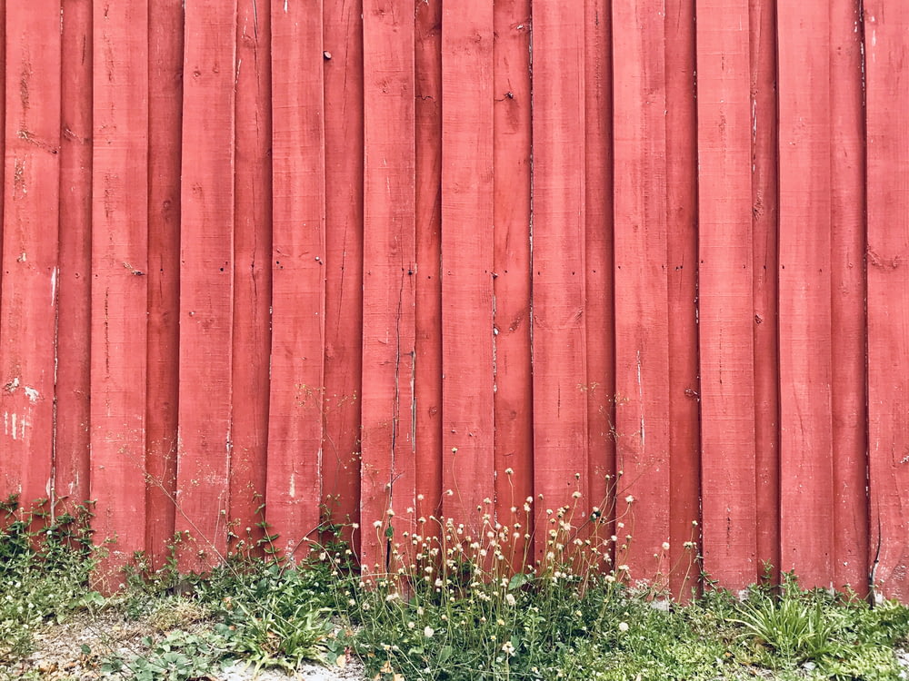 staccionata di legno rossa su erba verde