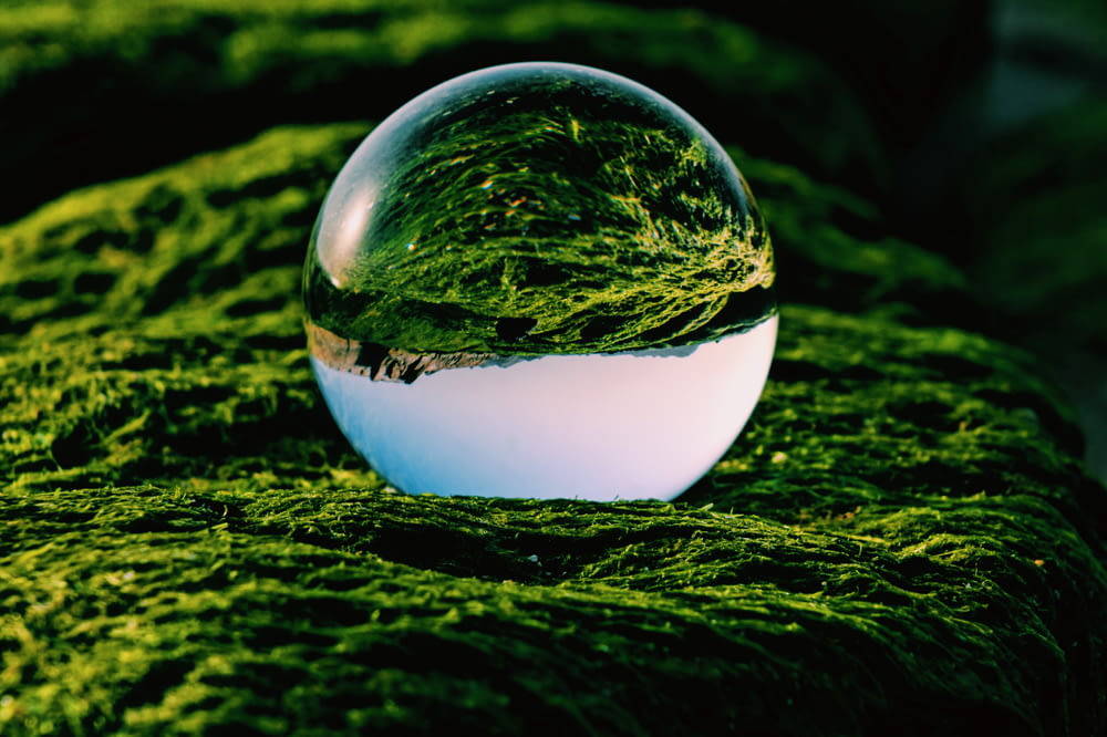 clear glass ball on green grass