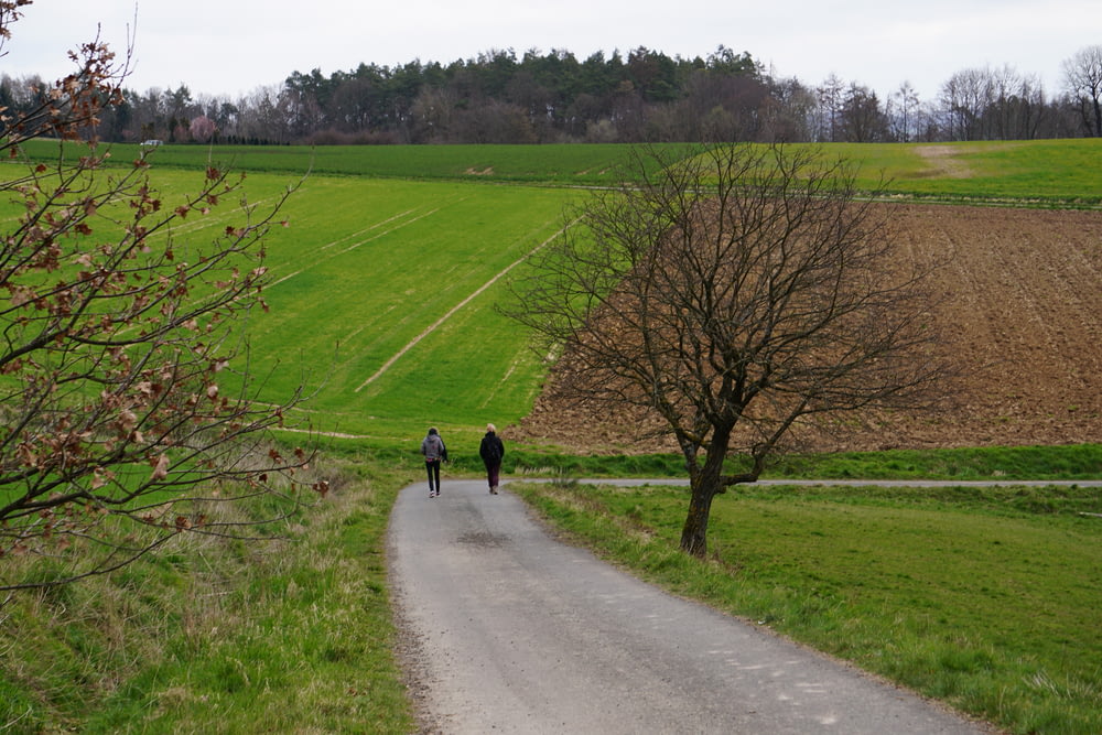 2 people walking on road during daytime