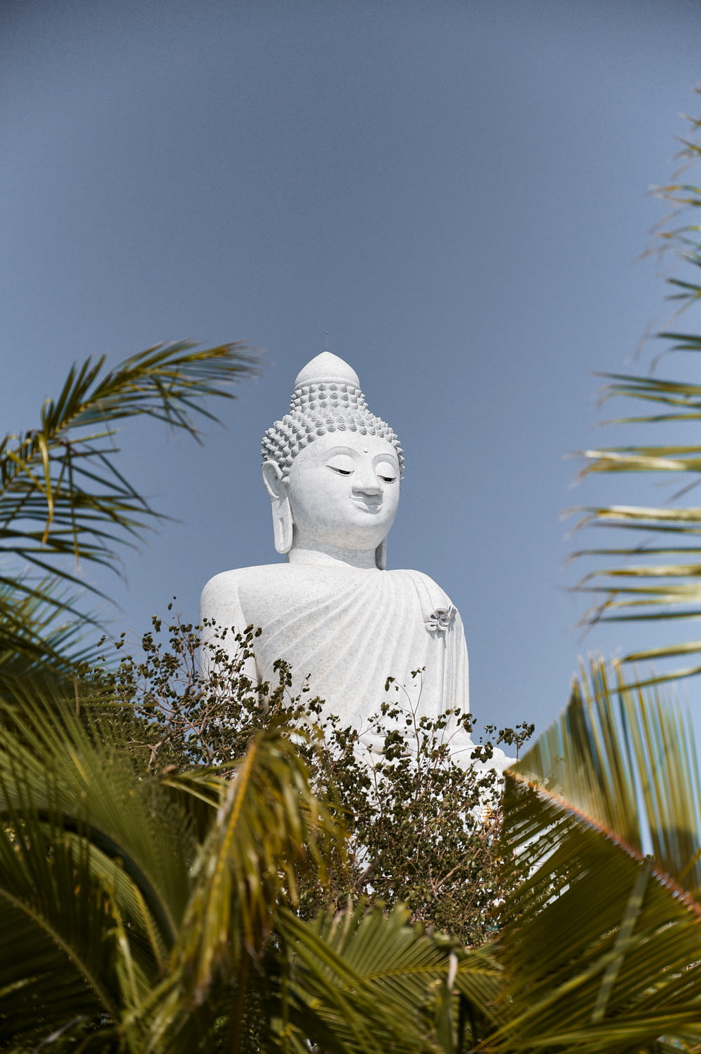 white buddha statue near green palm tree during daytime