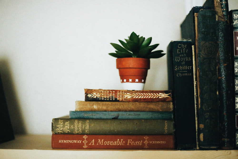 book collection on brown wooden shelf