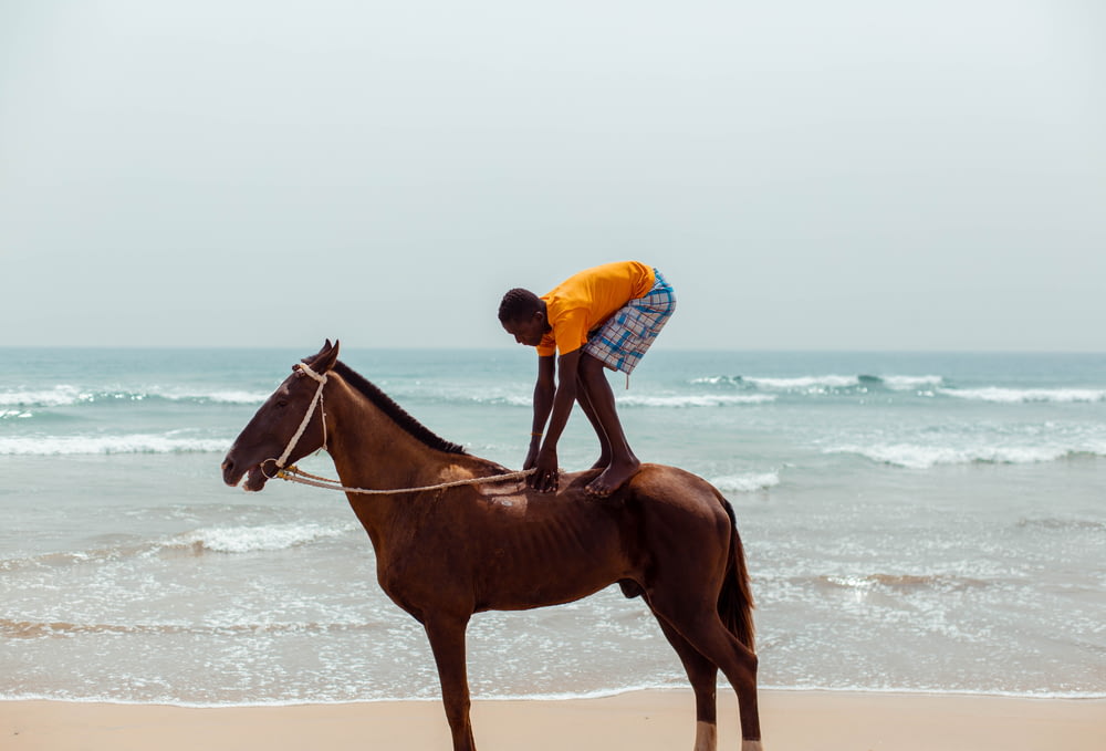 homme en chemise bleue chevauchant un cheval brun sur la plage pendant la journée