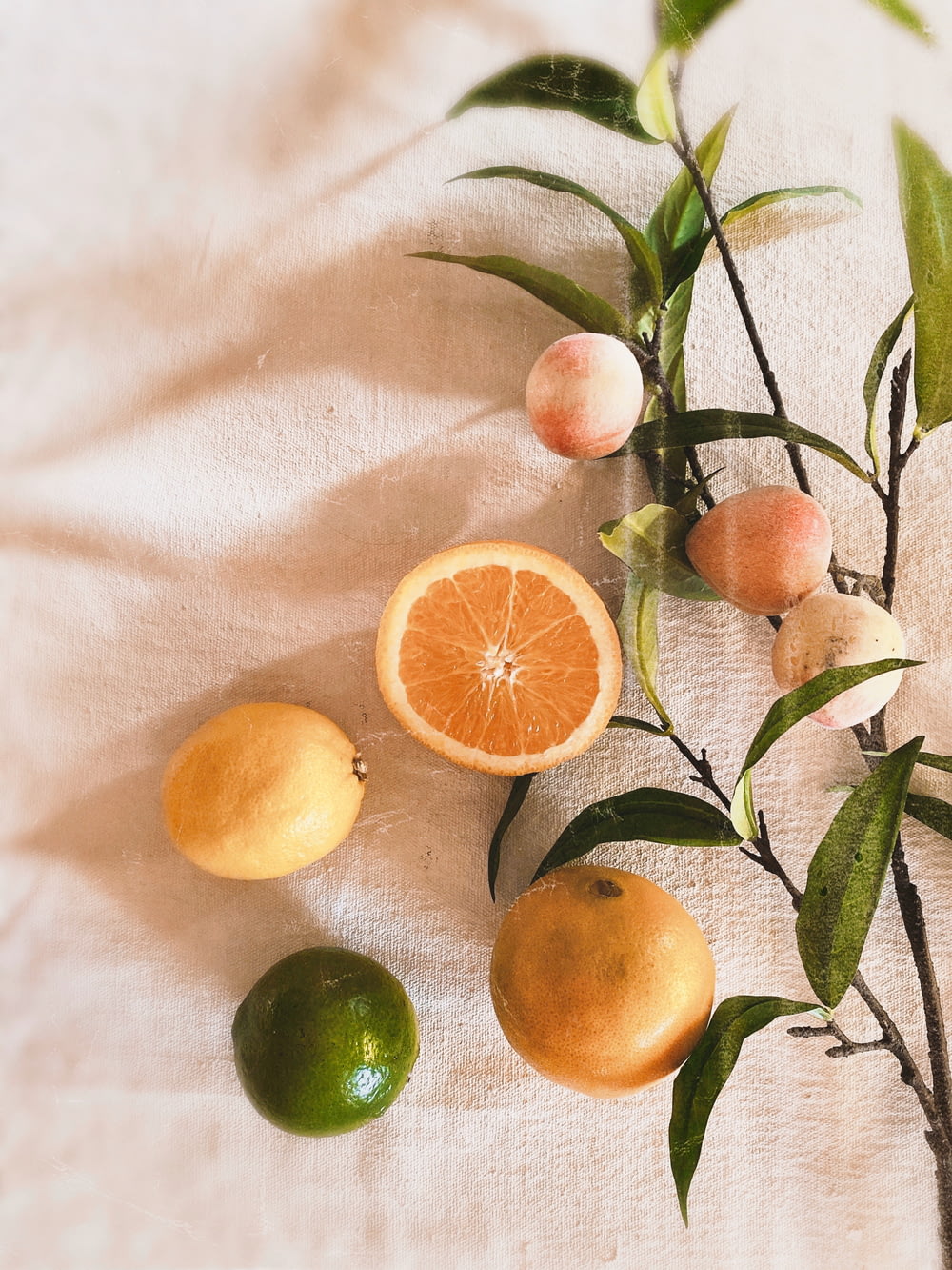 Frutos anaranjados sobre textil blanco
