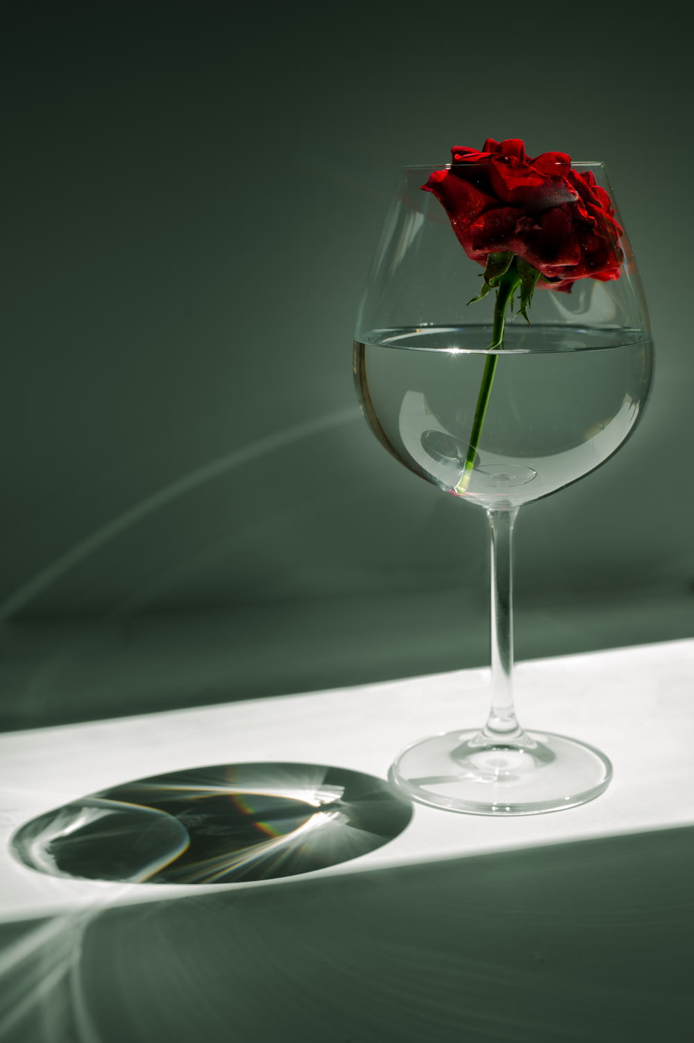 red rose in clear wine glass