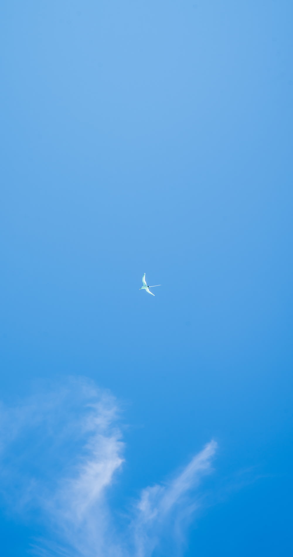 white airplane in mid air under blue sky during daytime