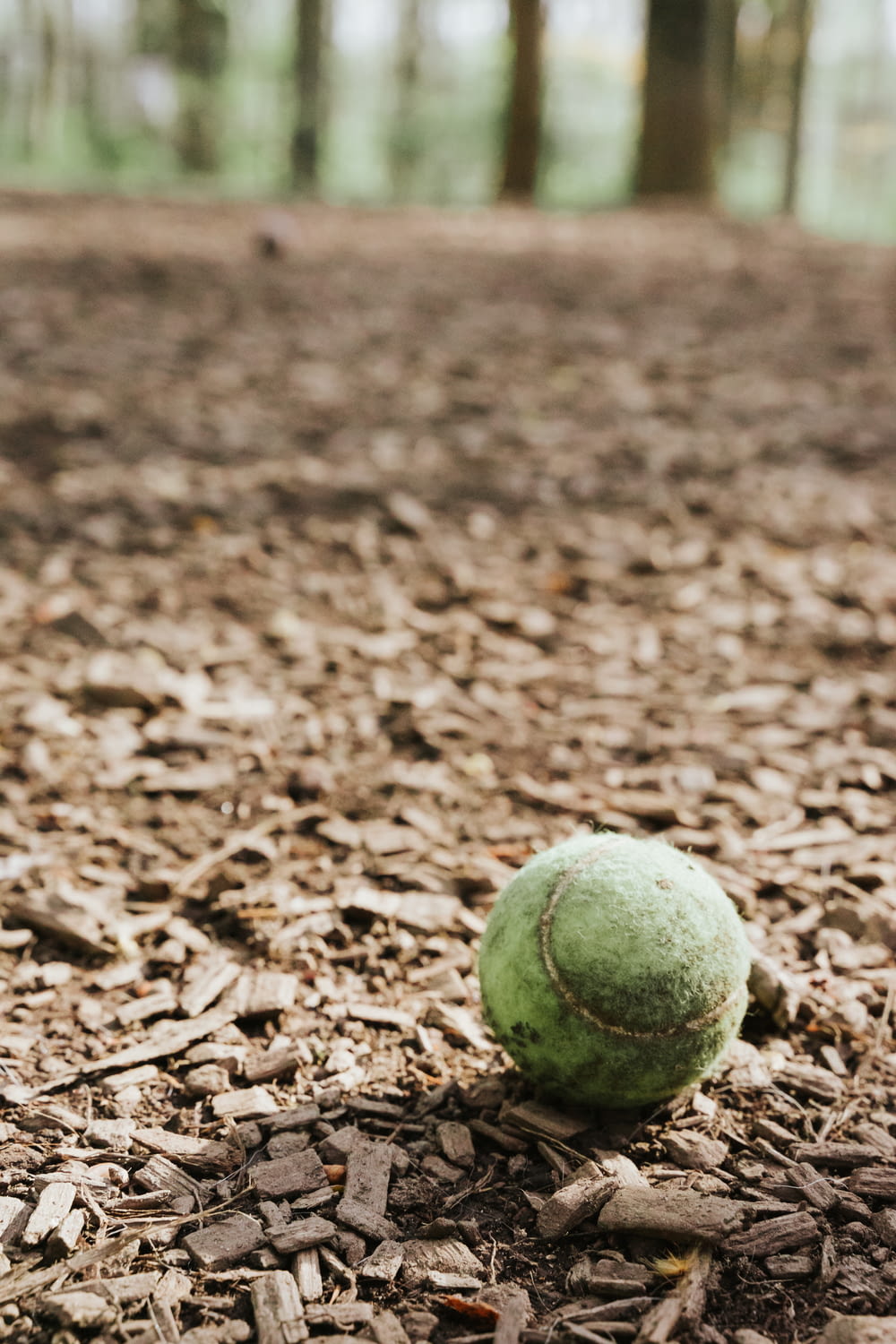 green tennis ball on brown soil