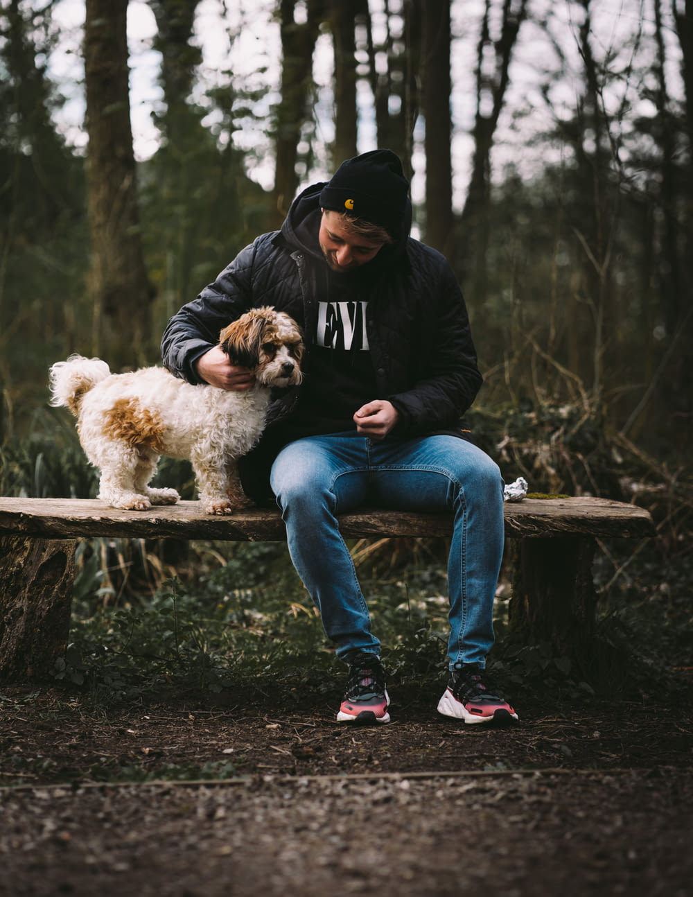 man in black jacket and blue denim jeans sitting on brown wooden bench with white dog