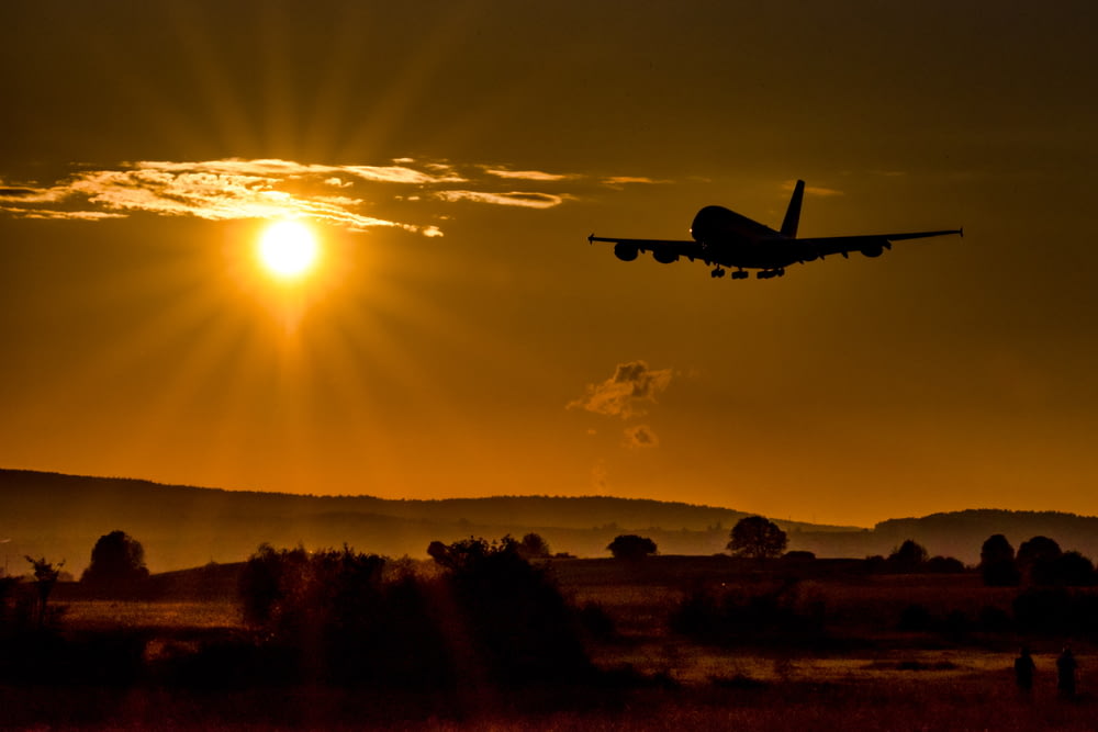 silhouette d’avion volant au-dessus du champ pendant le coucher du soleil
