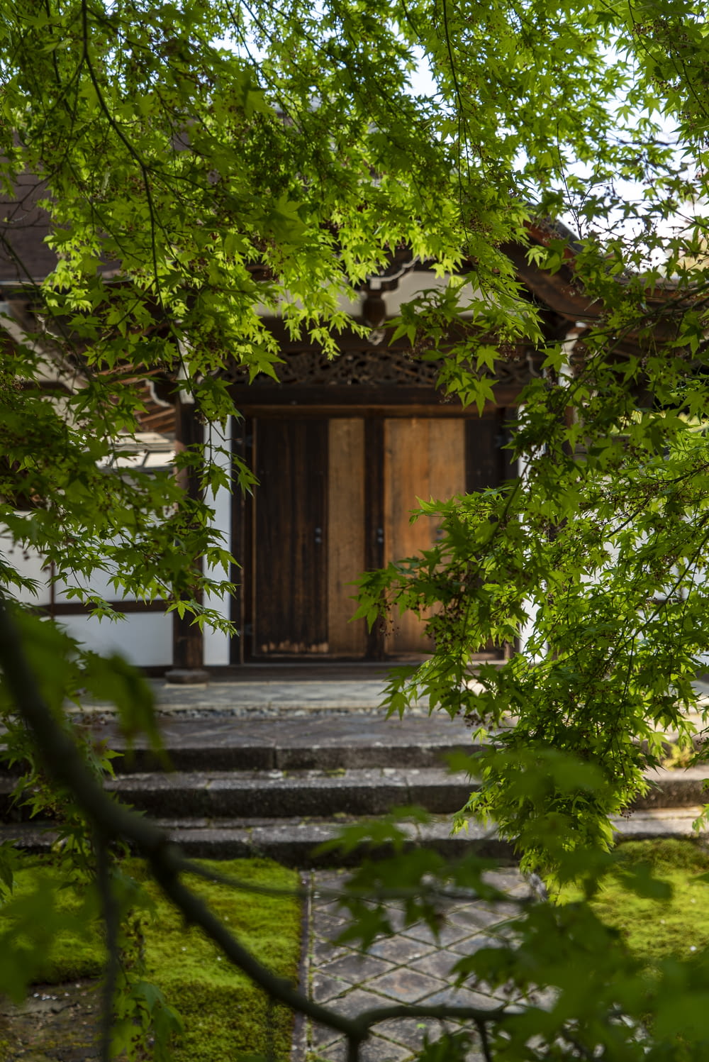 brown wooden door near green trees during daytime