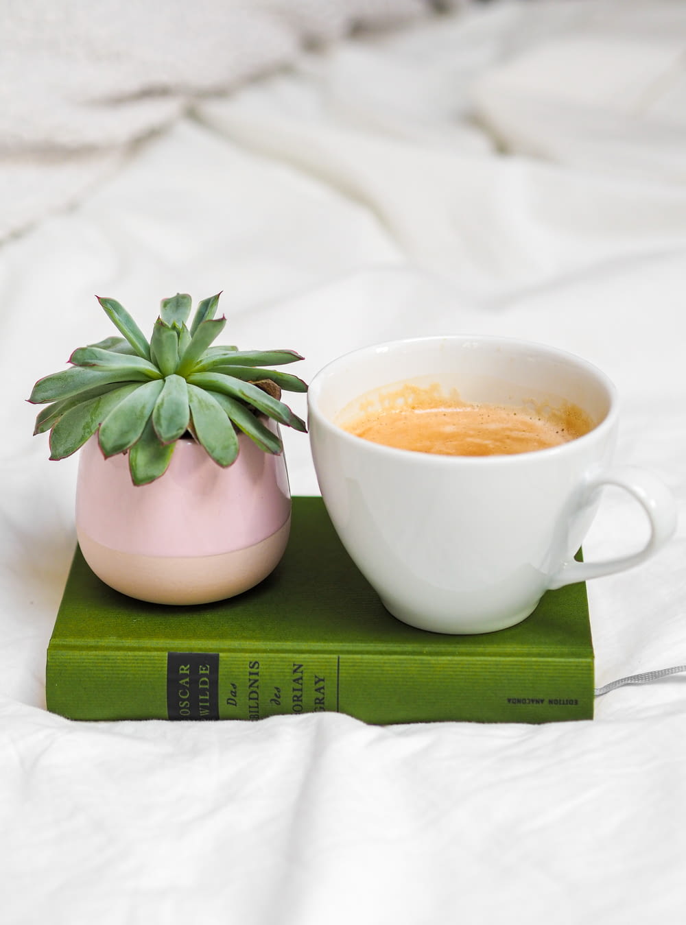 white ceramic cup with green plant on green book