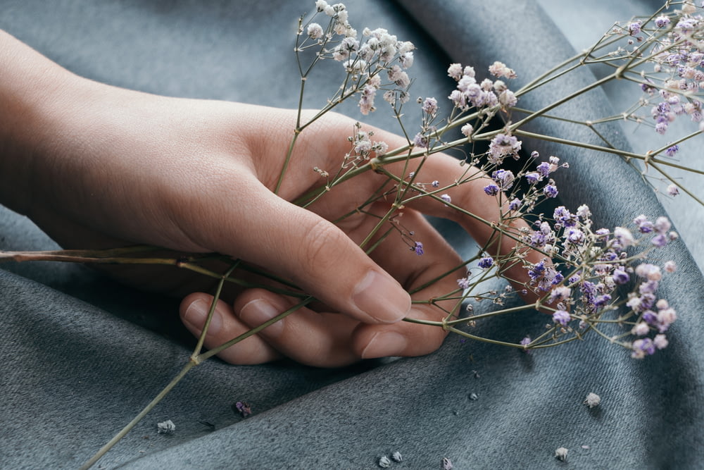 person holding white flower on gray textile