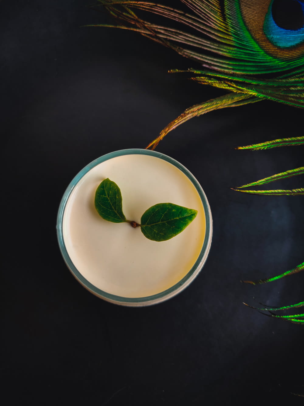 a glass of milk with a green leaf on top