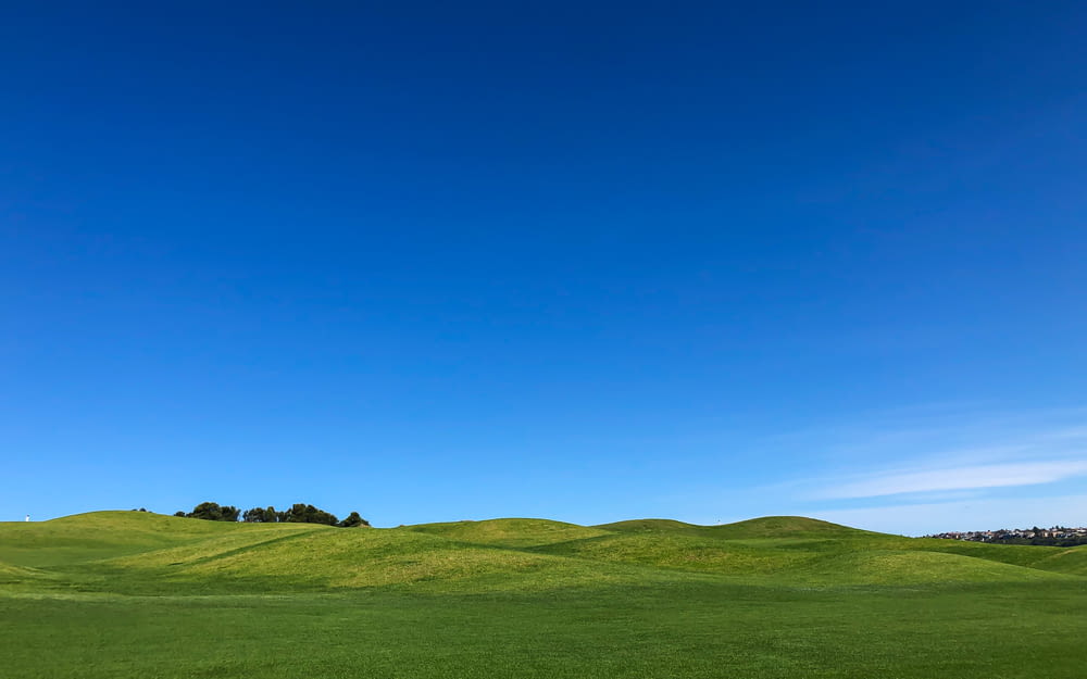 昼間の青空に映える緑の芝生