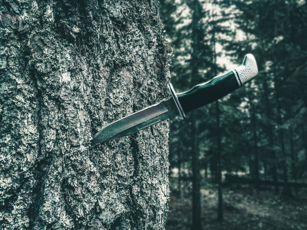 black and silver knife on brown tree