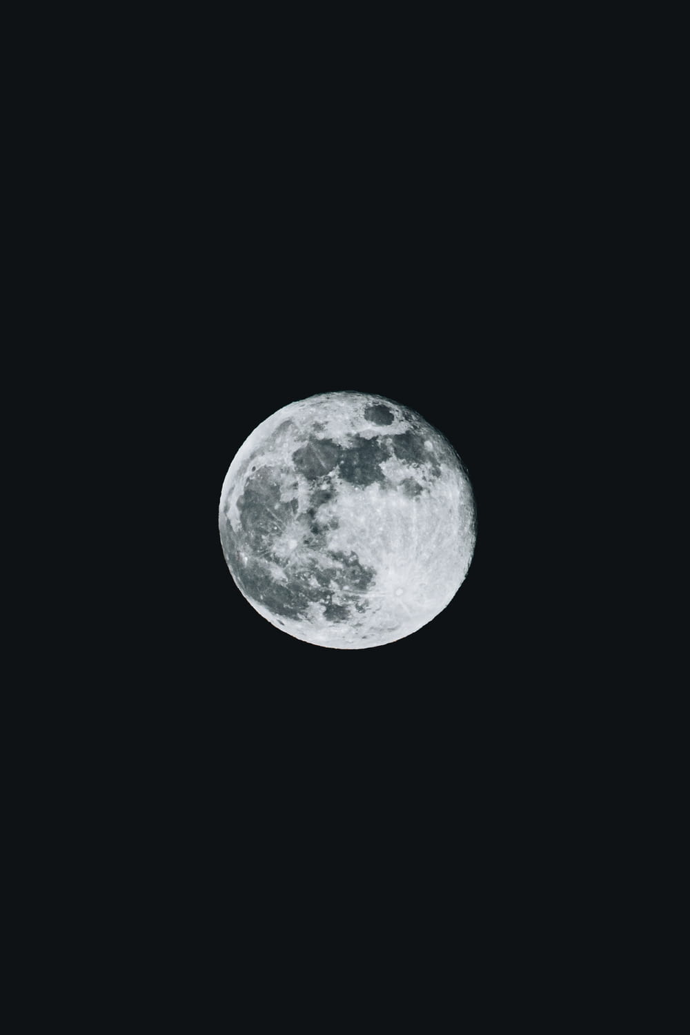 luna llena sobre fondo blanco