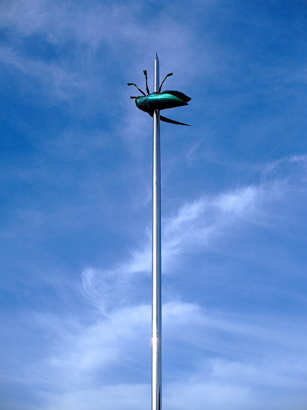 pájaro verde en poste de metal gris bajo cielo azul durante el día