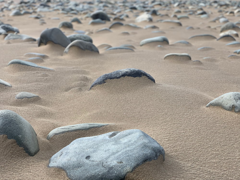 gray stone on brown sand