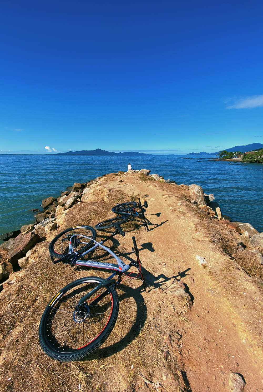 blue and black mountain bike on brown rock near body of water during daytime