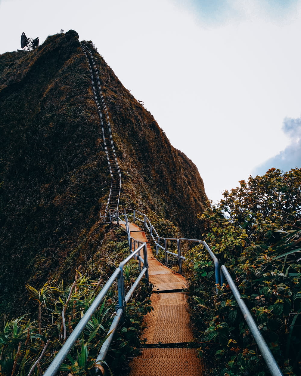 Una larga escalera de metal que sube una montaña