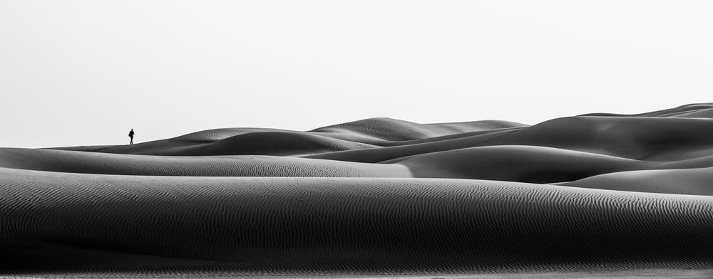 grayscale photo of a desert