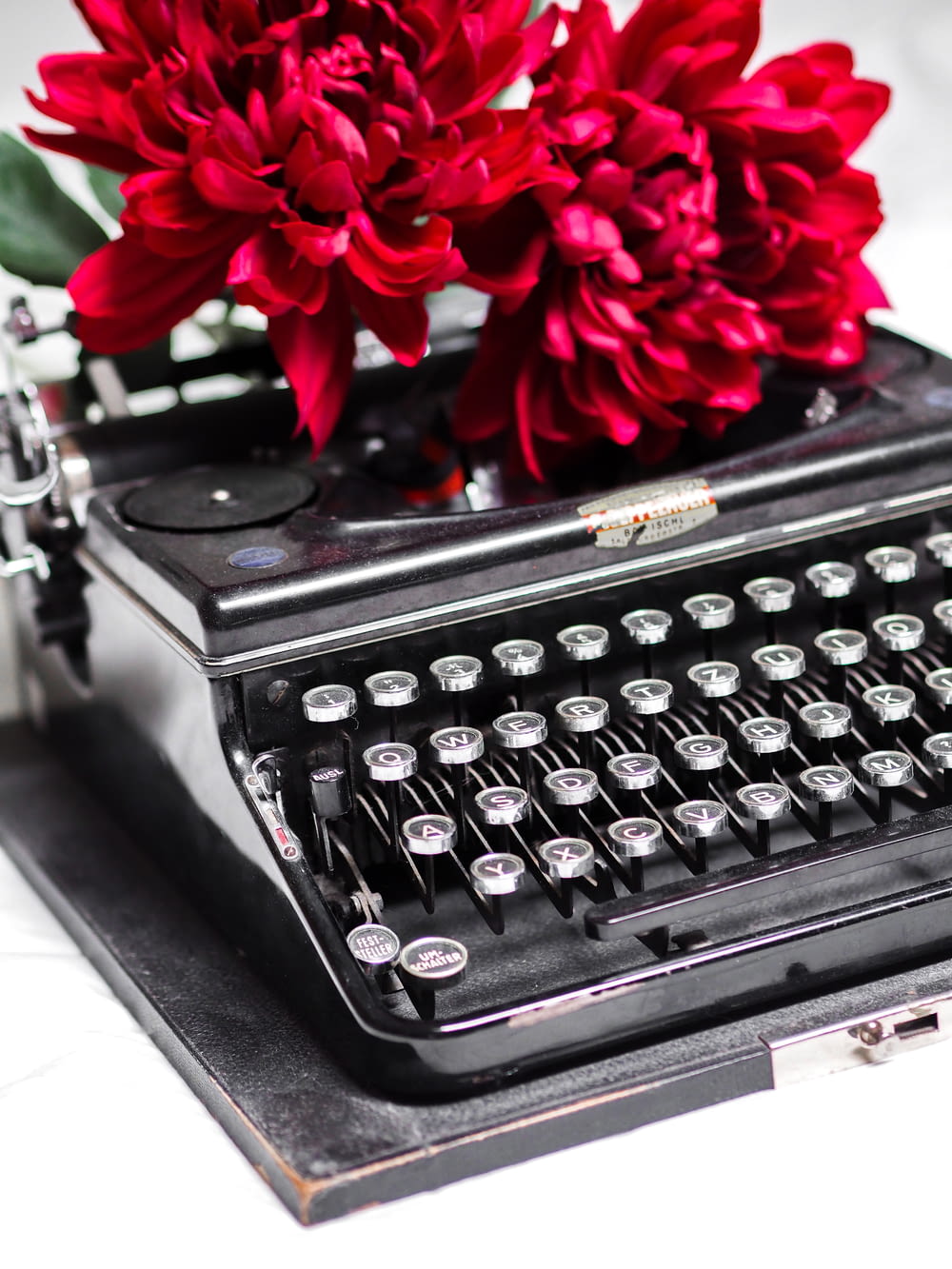 rosa roja sobre máquina de escribir negra