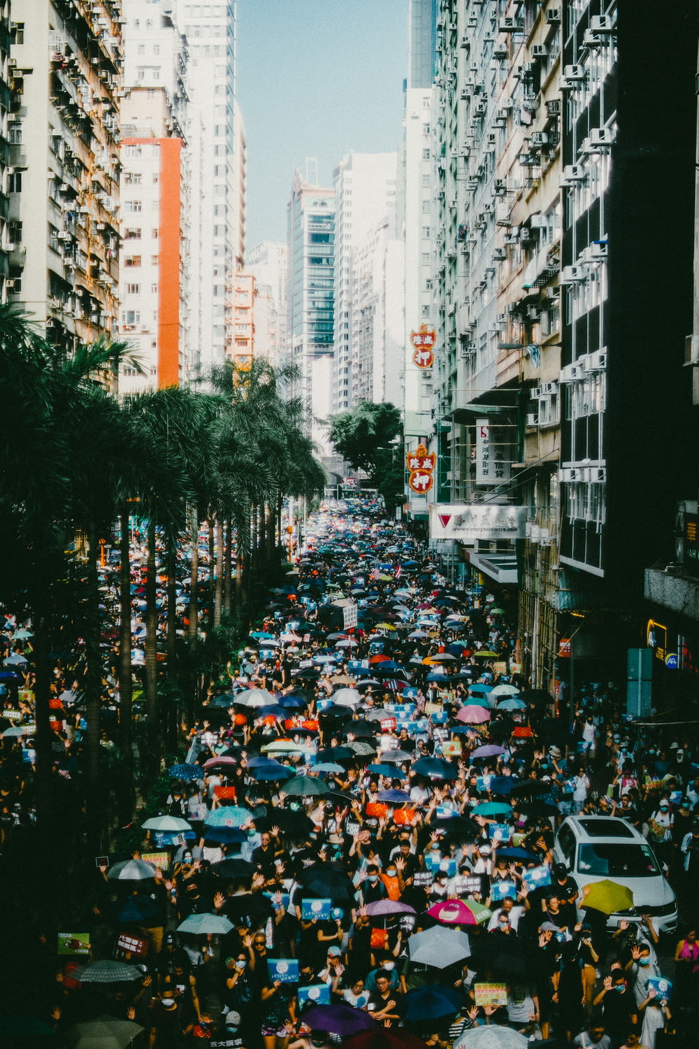 people in a city street during daytime