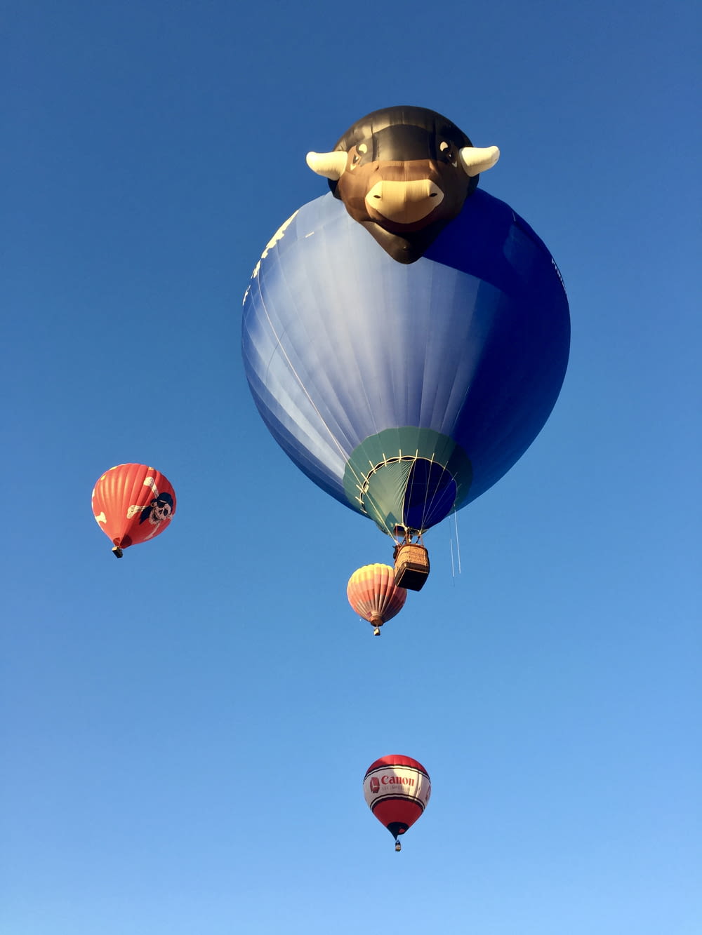 blue red and yellow hot air balloon in mid air under blue sky during daytime